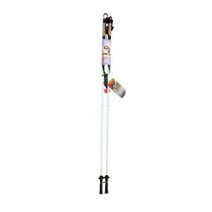 Leki Flash Carbon Nordic Walking Pole